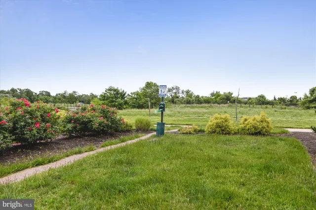 $2,350 | 3600 South Glebe Road, Unit 509W, Arlington, VA 22202