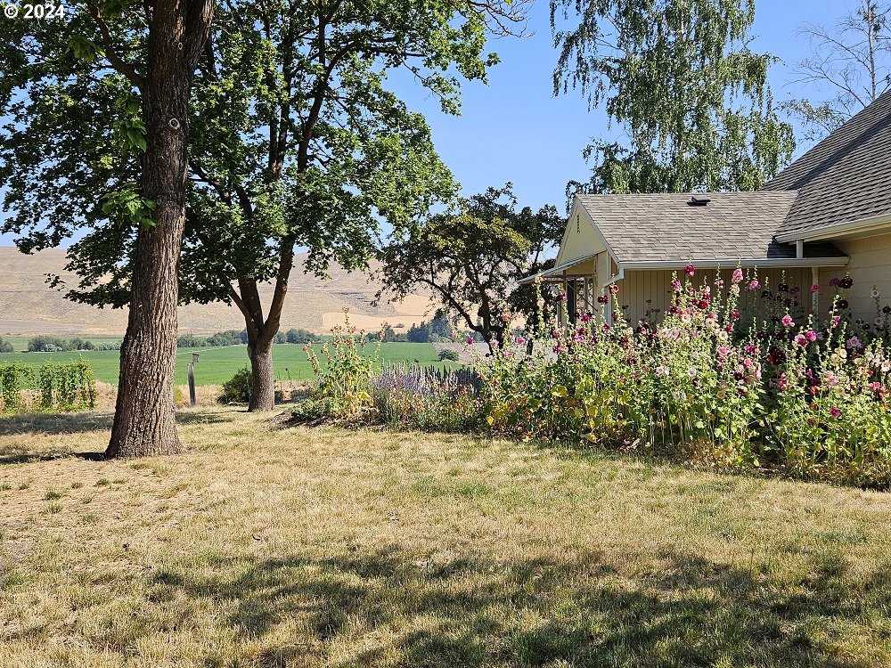 83166 Dufur Valley Road Dufur, OR 97021 - Photo 33 of 48 Gallery Image 33