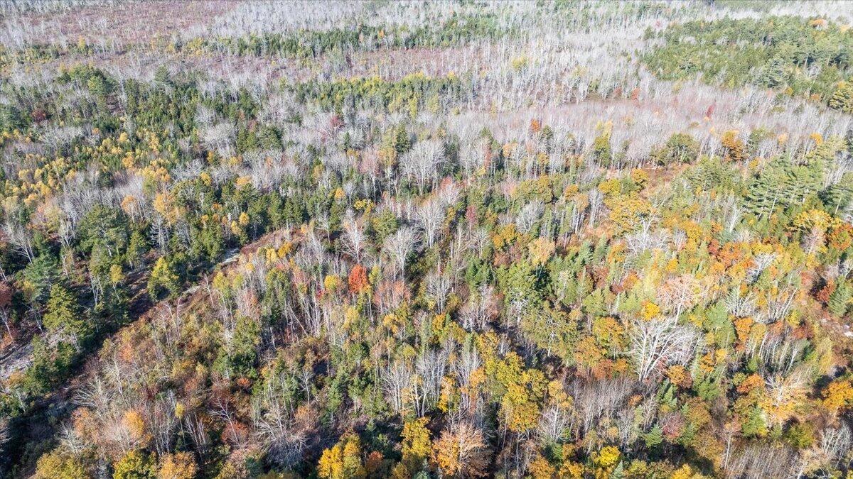 Lot 3 Cushing Road Cushing, ME 04563 - Photo 10 of 20 07-178 Cushing-7