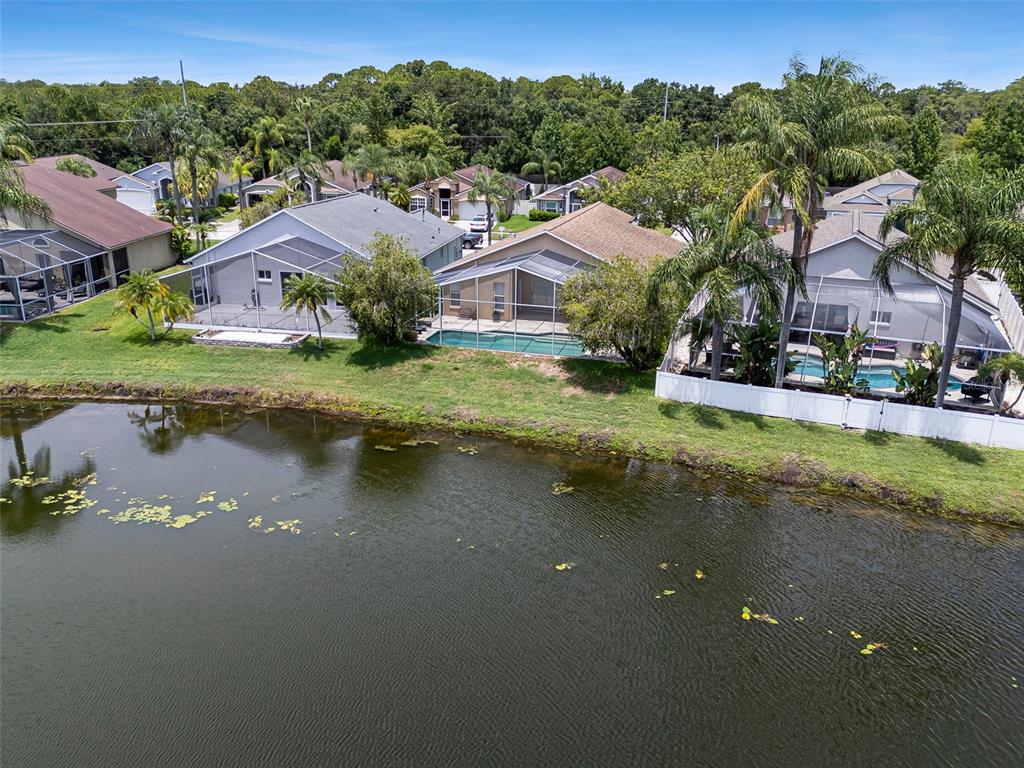 8512 Heyward Road Tampa, FL 33635 - Photo 40 of 73 Gallery Image 40