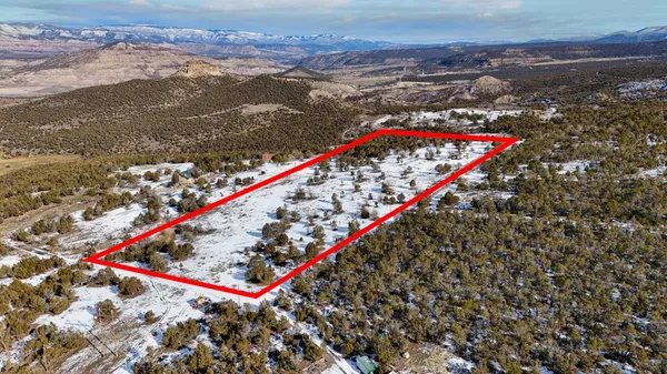 a view of a large with a large tree