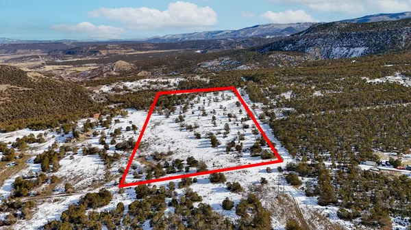 a view of a street with a flower garden