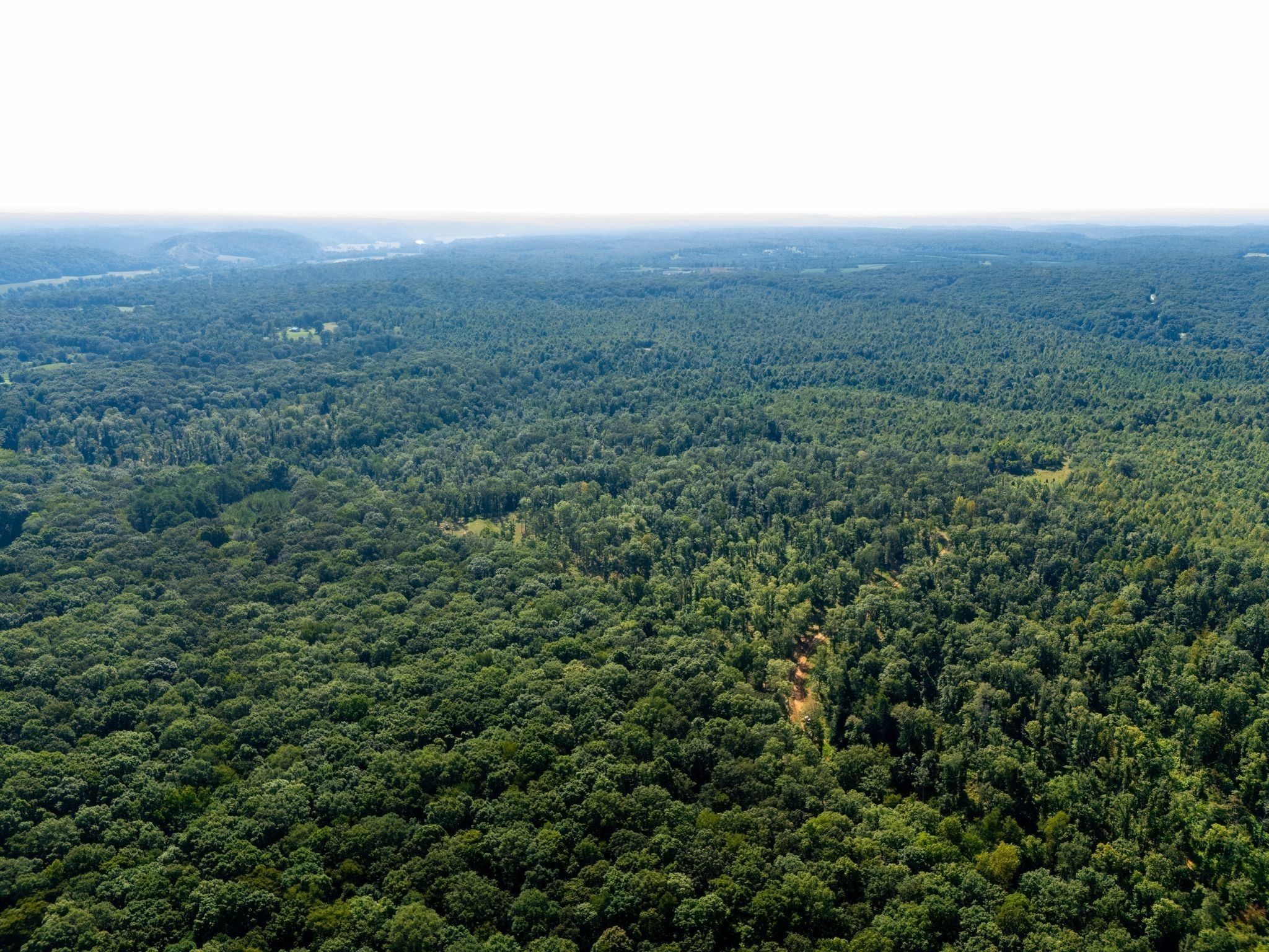 655 Dyer Road Hurricane Mills, TN 37078 - Photo 2 of 36 a view of a green field with lots of bushes