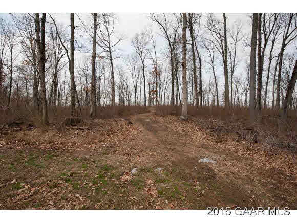 3624 Rockfish Road Grottoes, VA 24441 - Photo 24 of 26 a view of outdoor space with trees