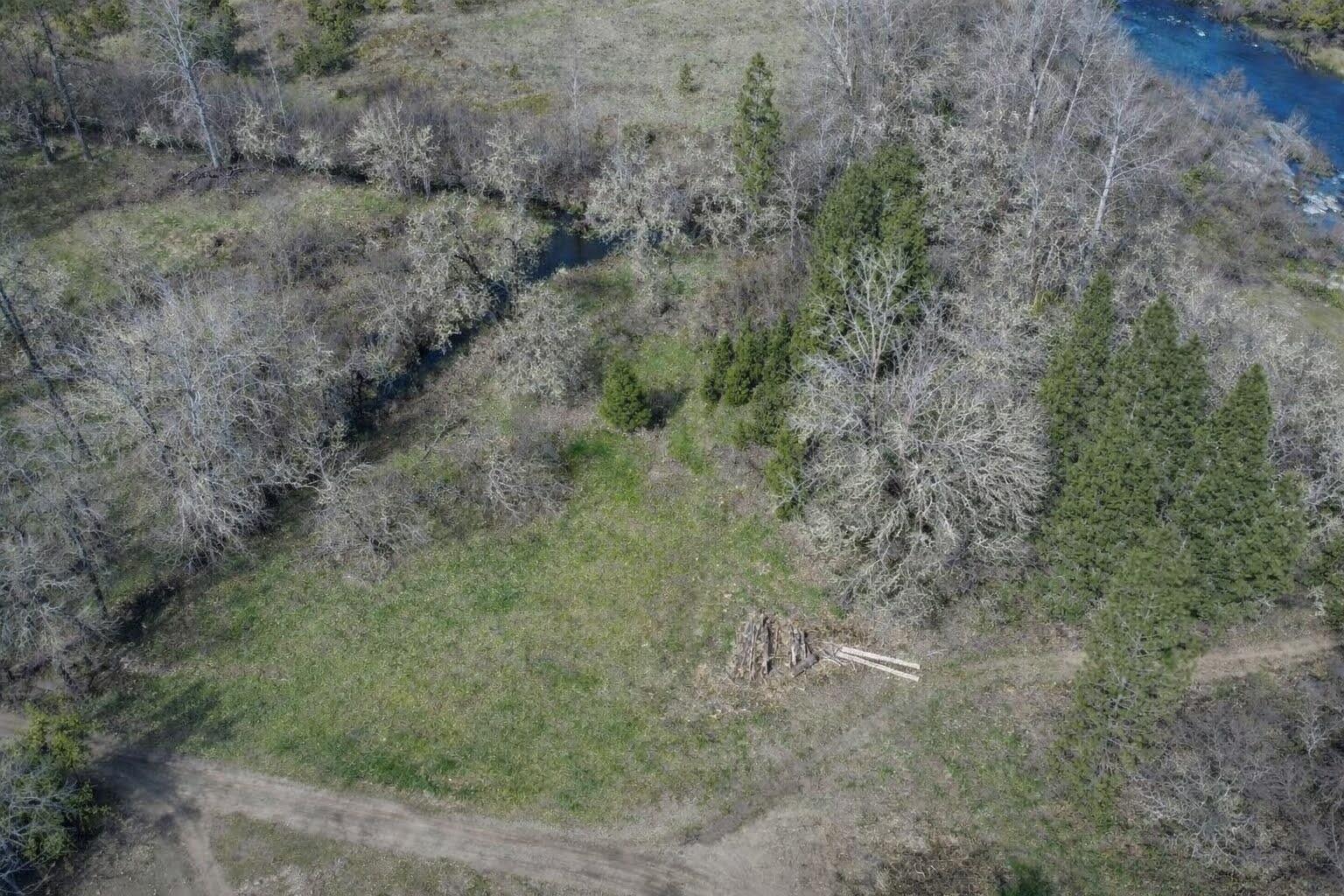 1449 Rockydale Road Cave Junction, OR 97523 - Photo 7 of 11 a view of a dry yard with lots of green space
