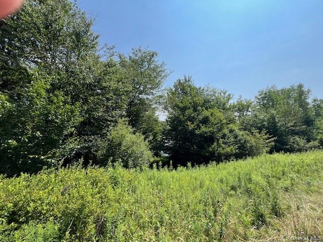 Lot 68 Shore Road Swan Lake, NY 12783 - Photo 4 of 10 a view of a garden