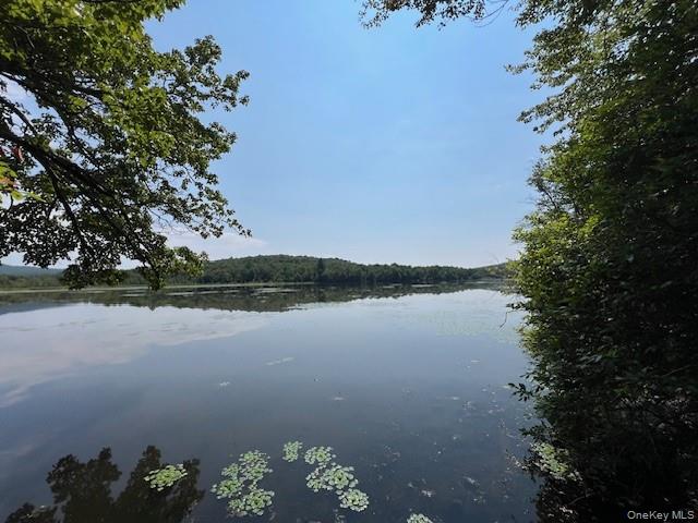 Lot 68 Shore Road Swan Lake, NY 12783 - Photo 5 of 10 a view of lake