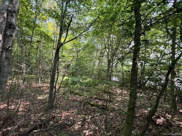 a view of a forest with trees in front of it