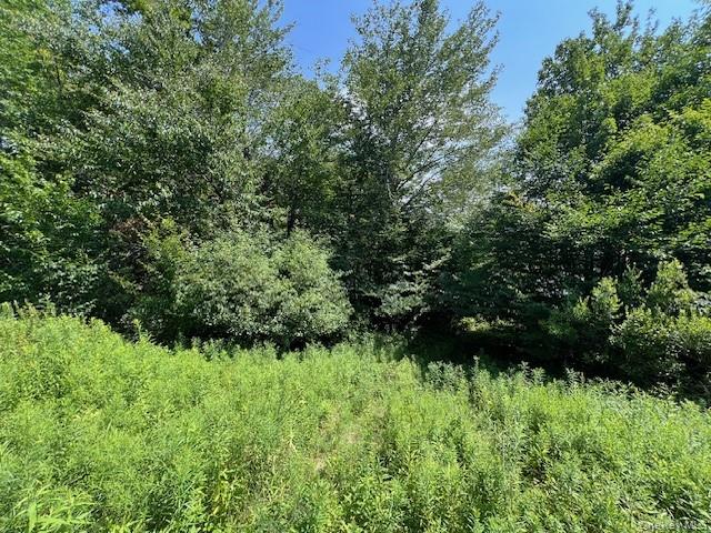 Lot 68 Shore Road Swan Lake, NY 12783 - Photo 8 of 10 a view of a garden
