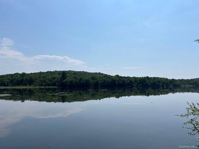 Lot 68 Shore Road Swan Lake, NY 12783 - Photo 9 of 10 a view of lake with mountain