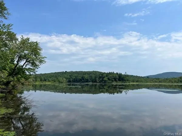 a view of a lake with houses in background