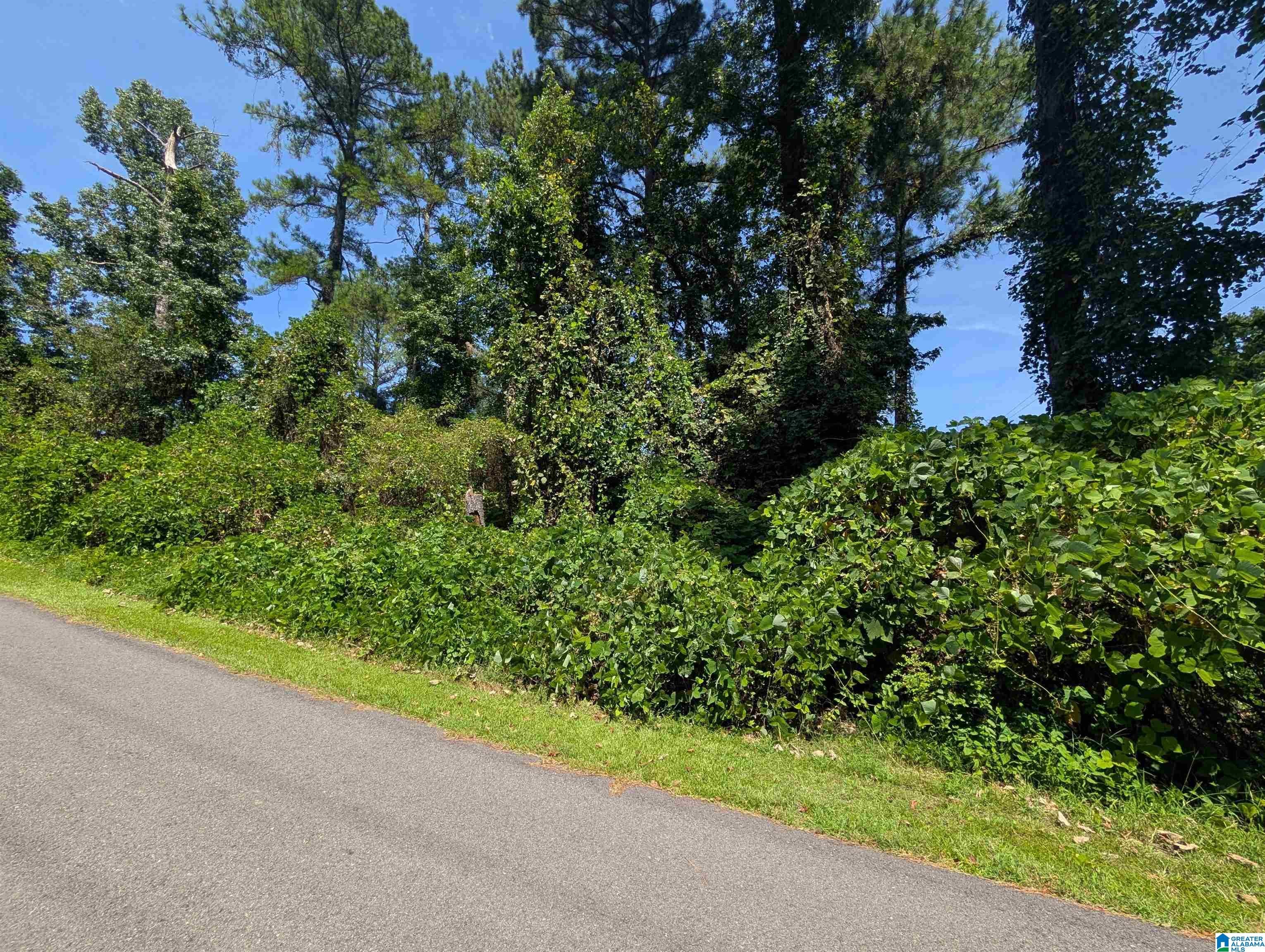 0 Hilltop Road Weaver, AL 36277 - Photo 3 of 18 Gallery Image 3