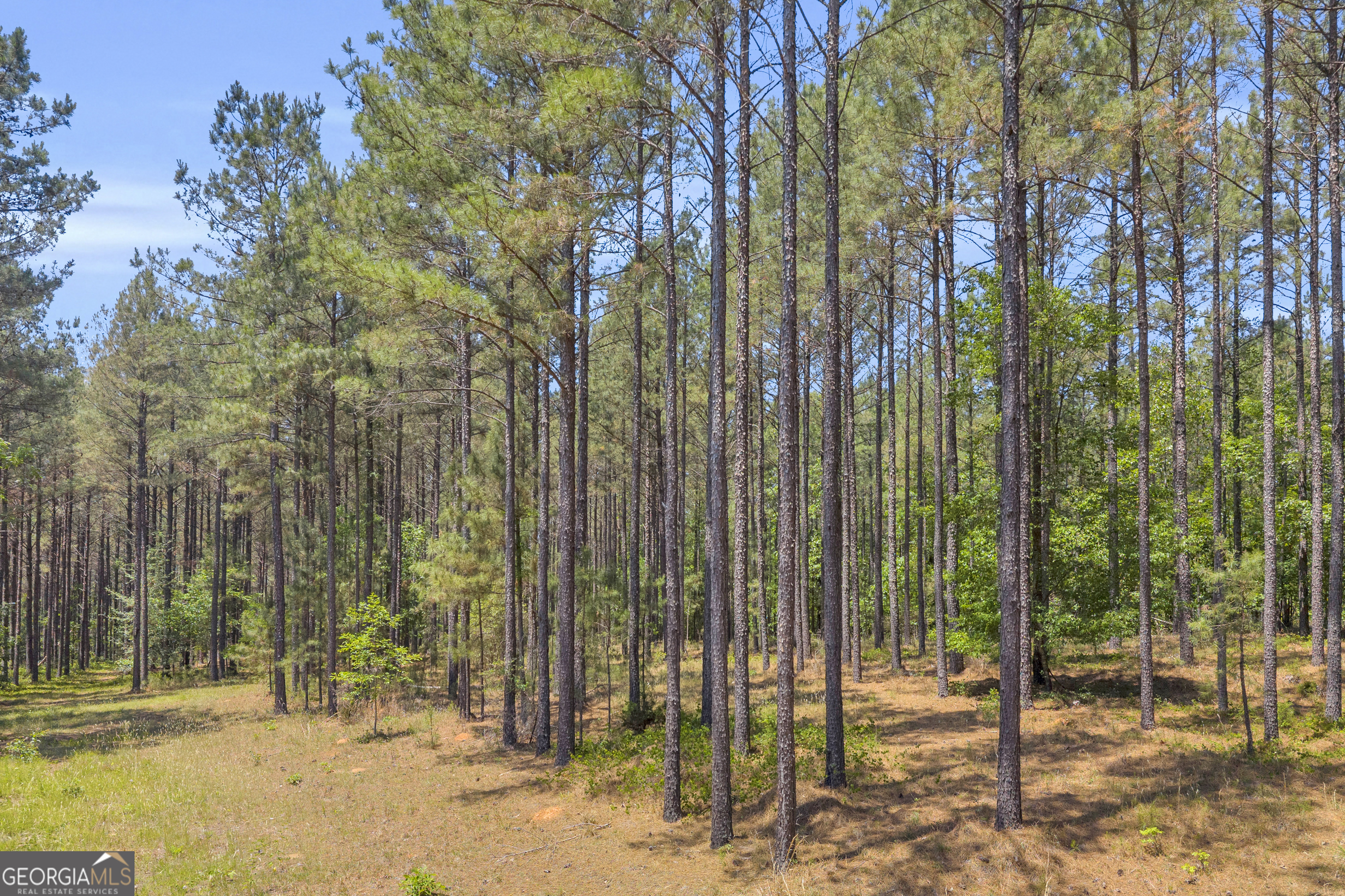 0 Hidden Harbor Road Lincolnton, GA 30817 - Photo 16 of 58