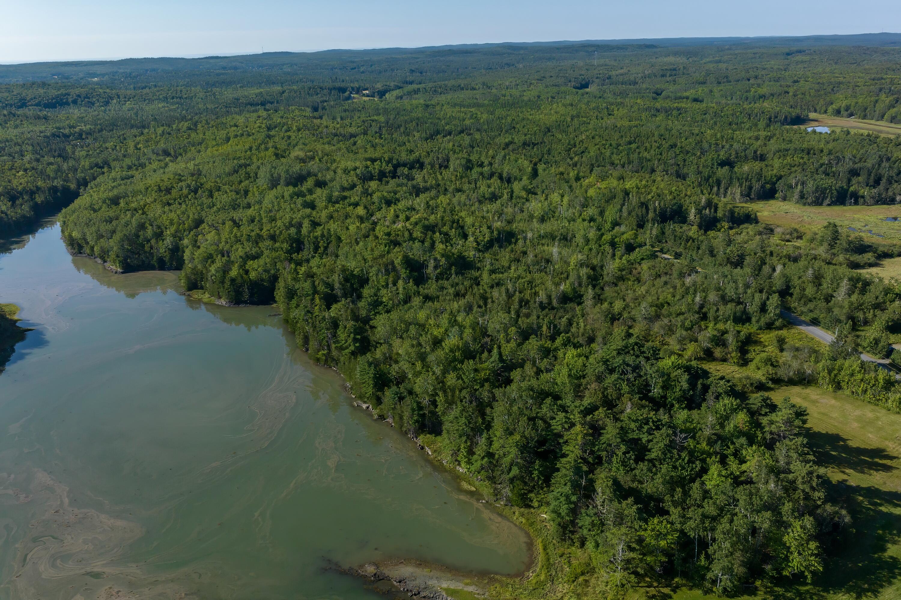 Lot 12 Straight Bay Road Lubec, ME 04652 - Photo 17 of 42 17- Lot 12-B Straight Bay Road HiRes-DTP