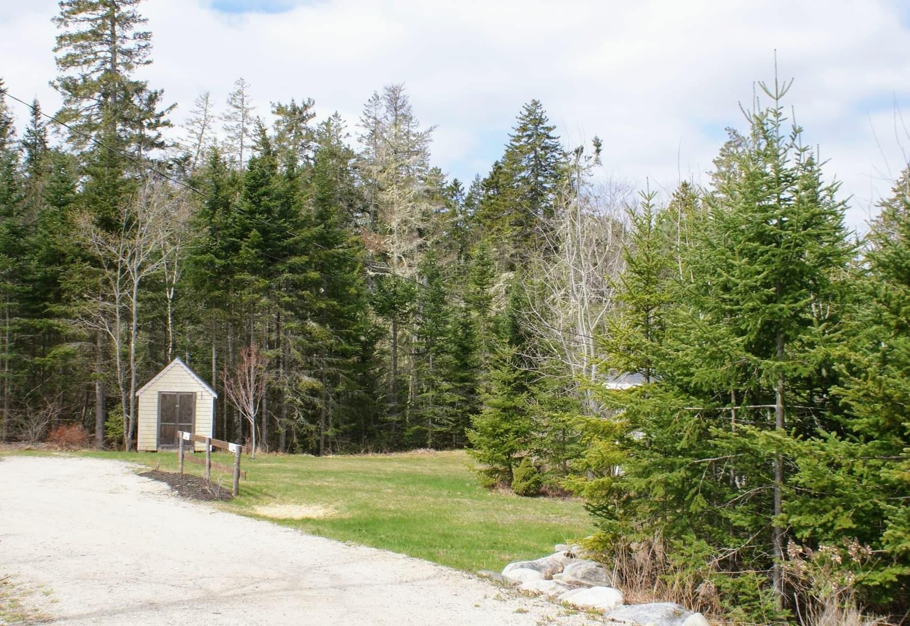 111 Frank's Flat Sedgwick, ME 04676 - Photo 38 of 58 Small Outbuilding