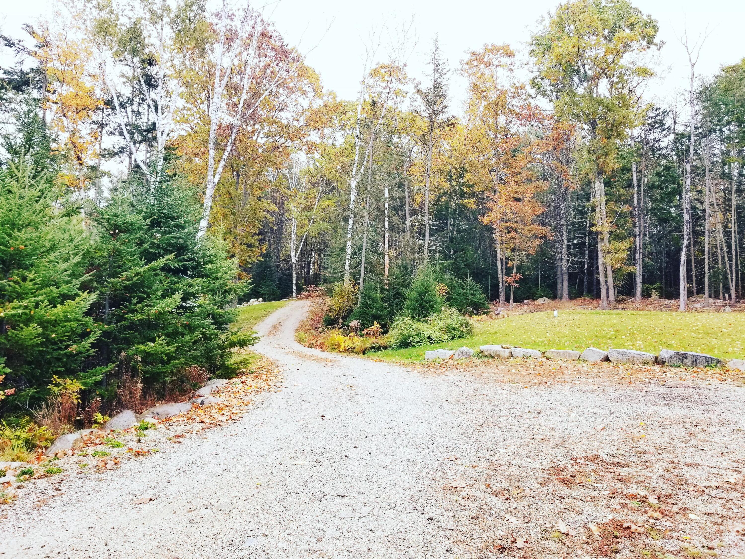 111 Frank's Flat Sedgwick, ME 04676 - Photo 41 of 58 path between cottages 1