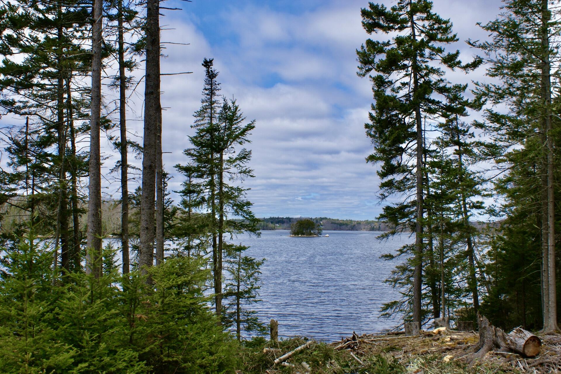 111 Frank's Flat Sedgwick, ME 04676 - Photo 48 of 58 View from Hillside