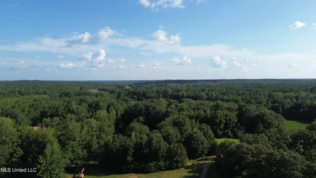 $5,200,000 | 1975 Highway 178, Myrtle, MS 38650