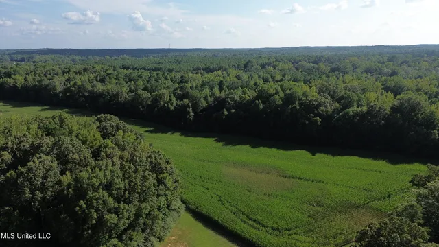 $5,200,000 | 1975 Highway 178, Myrtle, MS 38650