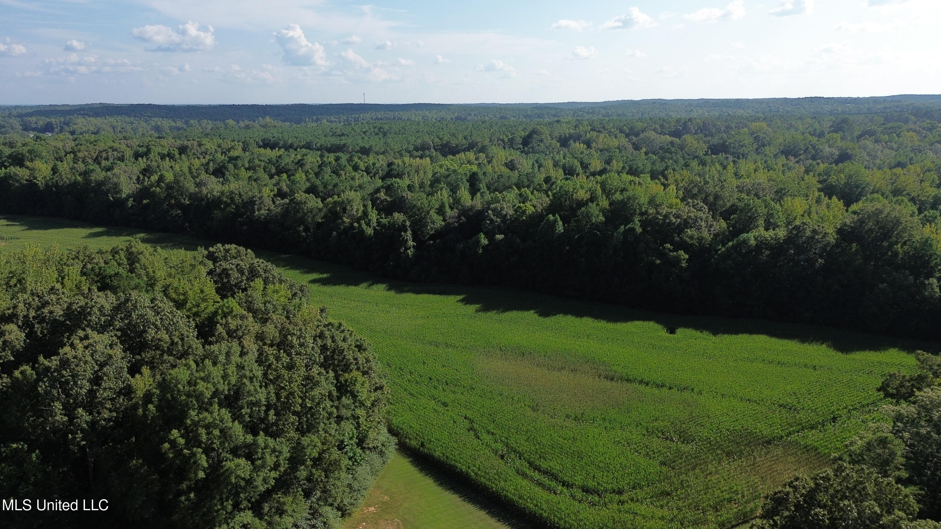 1975 Highway 178 Myrtle, MS 38650 - Photo 116 of 199 IMG_116