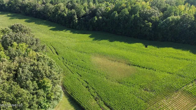 $5,200,000 | 1975 Highway 178, Myrtle, MS 38650