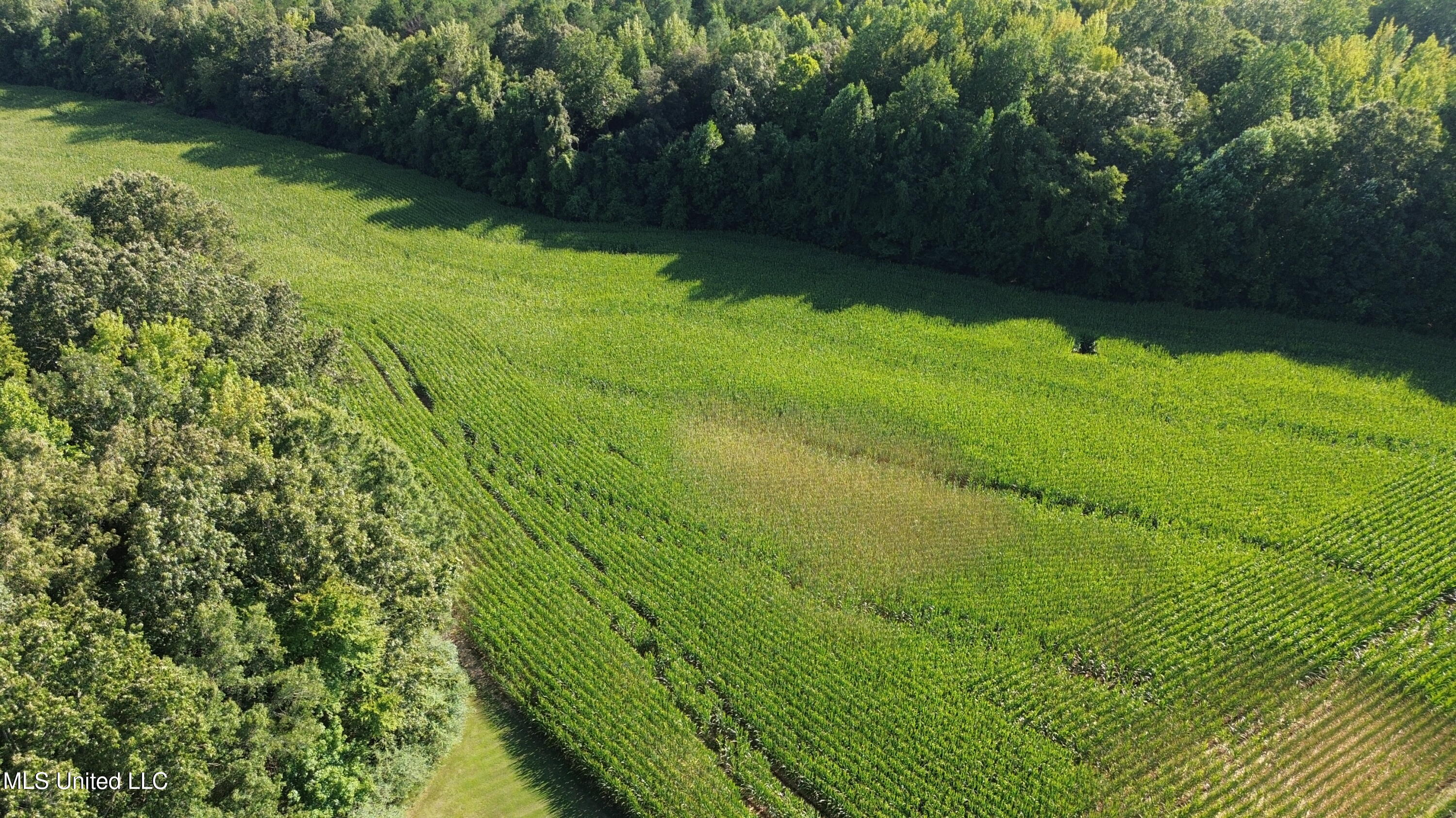 1975 Highway 178 Myrtle, MS 38650 - Photo 117 of 199 IMG_117