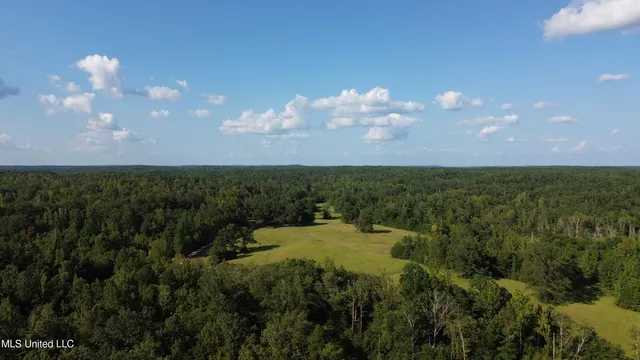 $5,200,000 | 1975 Highway 178, Myrtle, MS 38650