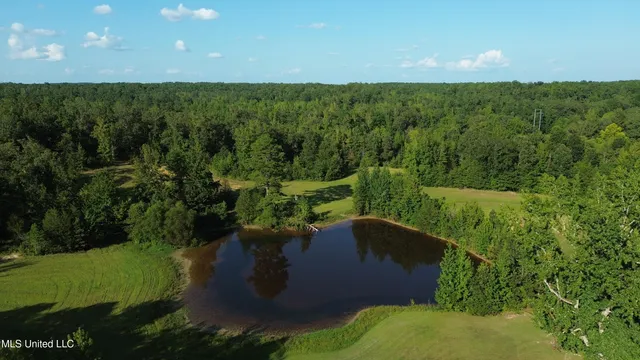 $5,200,000 | 1975 Highway 178, Myrtle, MS 38650