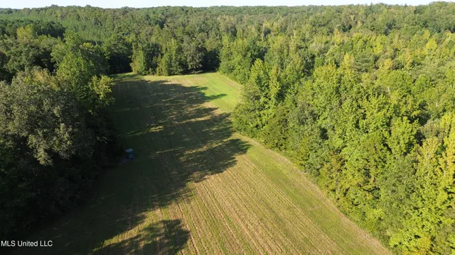 $5,200,000 | 1975 Highway 178, Myrtle, MS 38650