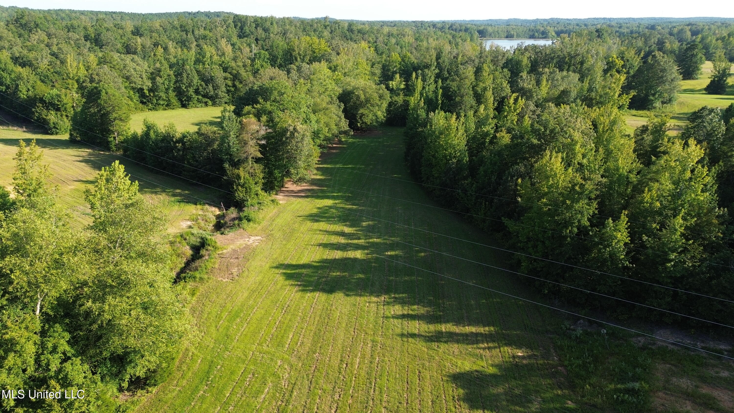 1975 Highway 178 Myrtle, MS 38650 - Photo 134 of 199 IMG_134