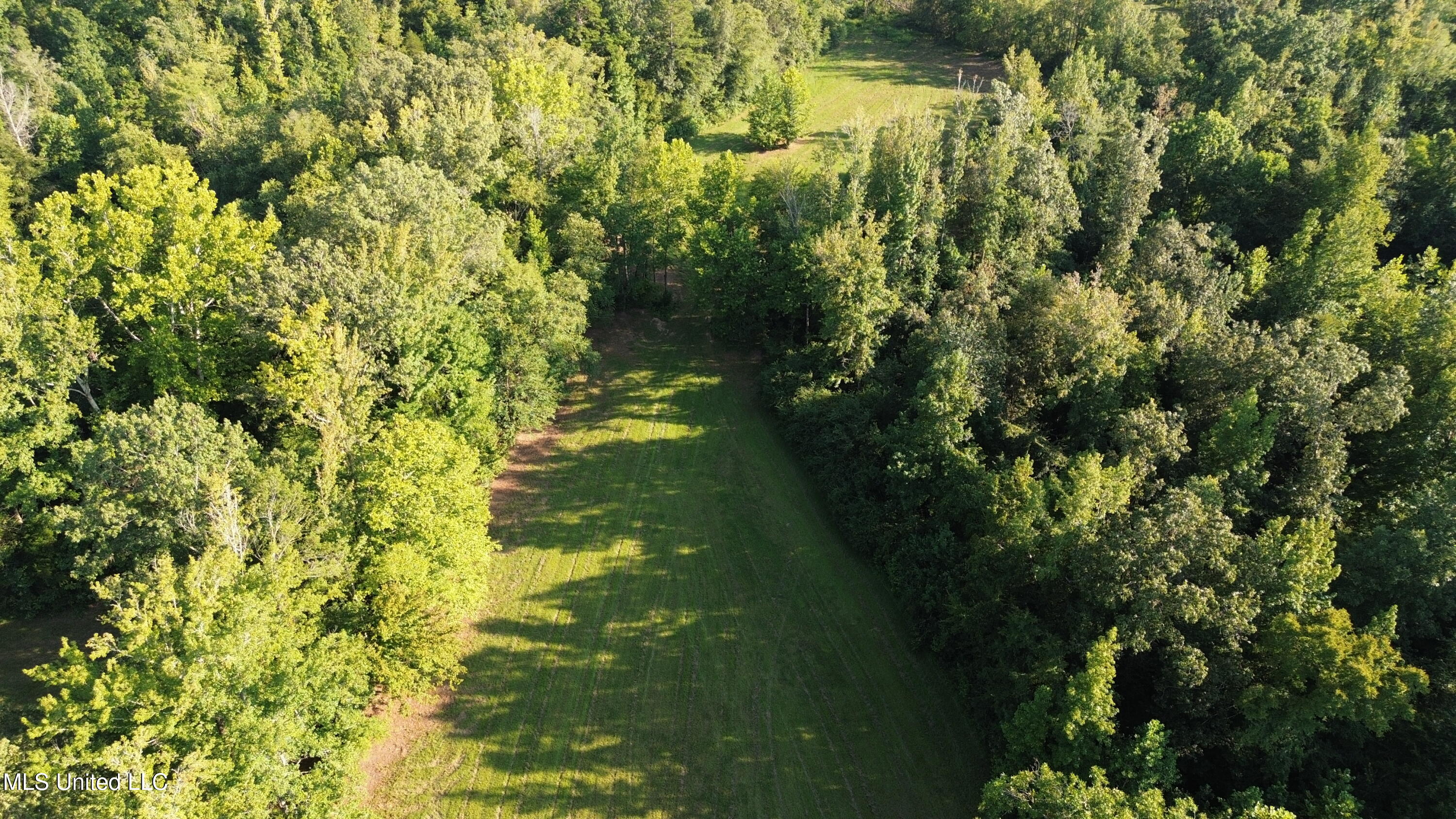 1975 Highway 178 Myrtle, MS 38650 - Photo 135 of 199 IMG_135