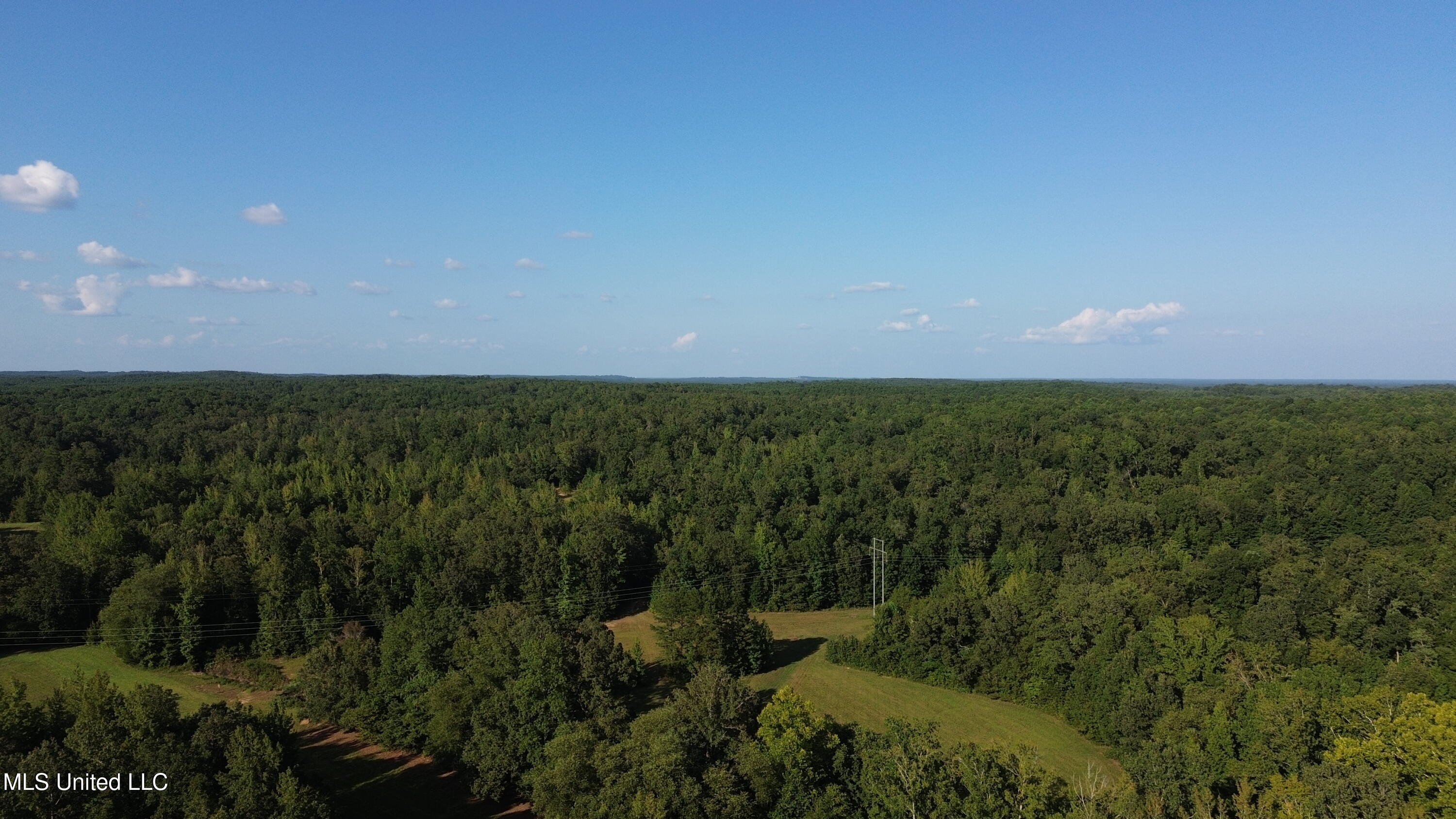 1975 Highway 178 Myrtle, MS 38650 - Photo 136 of 199 IMG_136