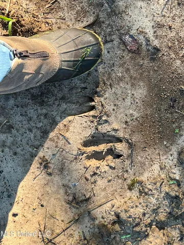 $5,200,000 | 1975 Highway 178, Myrtle, MS 38650