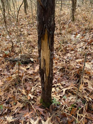 $5,200,000 | 1975 Highway 178, Myrtle, MS 38650