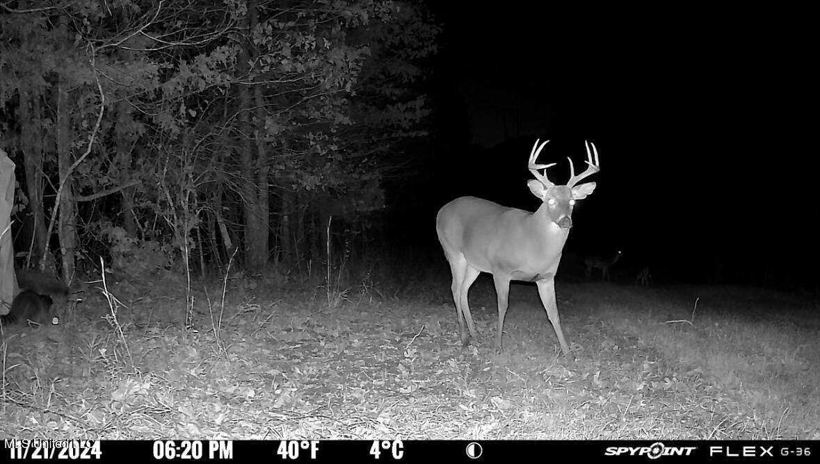 1975 Highway 178 Myrtle, MS 38650 - Photo 185 of 199 IMG_185