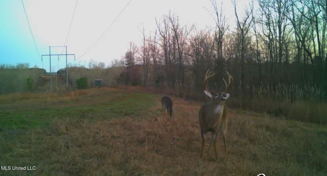 $5,200,000 | 1975 Highway 178, Myrtle, MS 38650