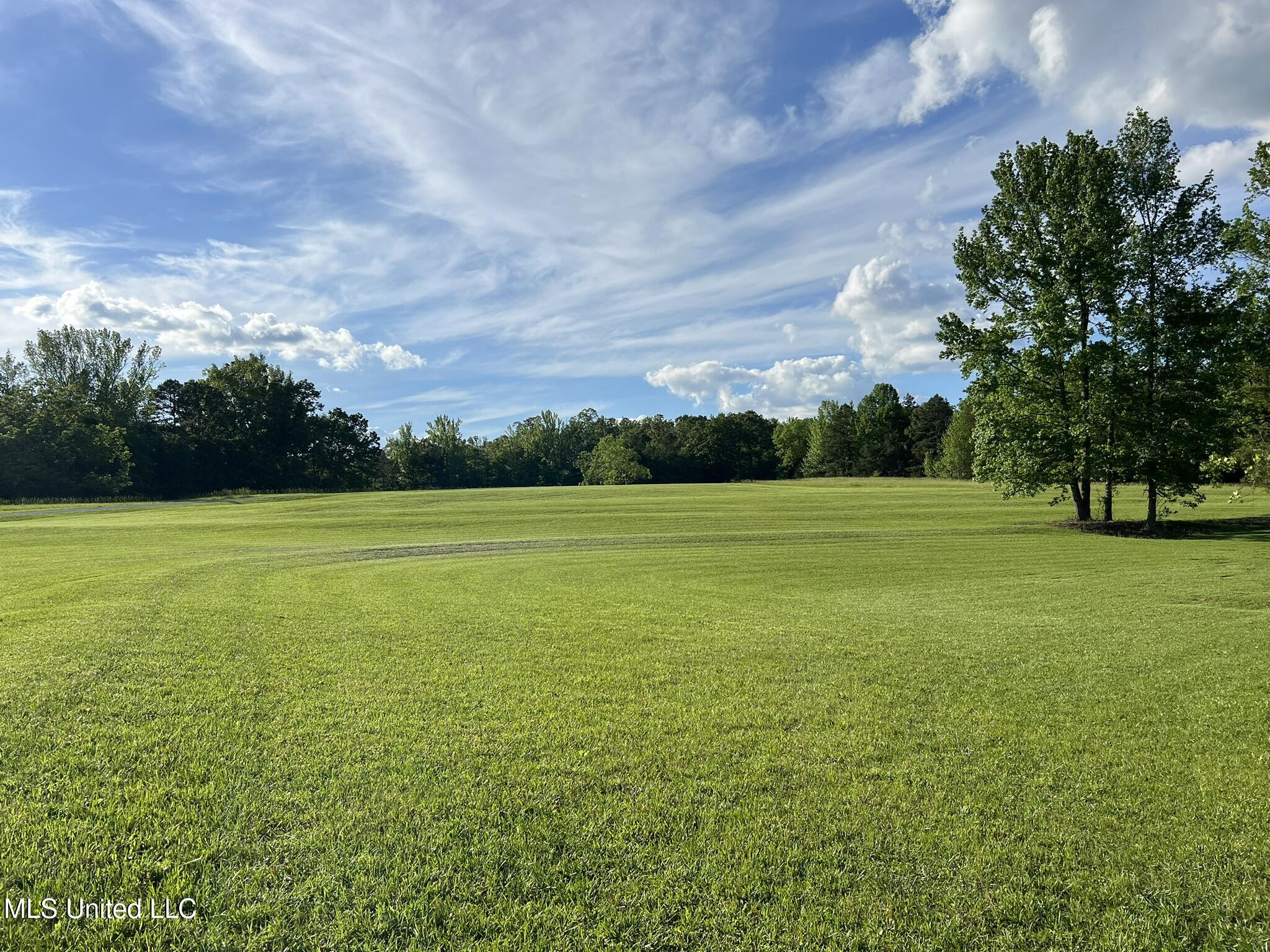 1975 Highway 178 Myrtle, MS 38650 - Photo 19 of 199 IMG_17