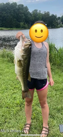 $5,200,000 | 1975 Highway 178, Myrtle, MS 38650