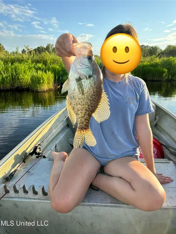 $5,200,000 | 1975 Highway 178, Myrtle, MS 38650