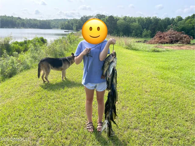 $5,200,000 | 1975 Highway 178, Myrtle, MS 38650