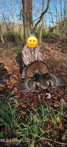 $5,200,000 | 1975 Highway 178, Myrtle, MS 38650