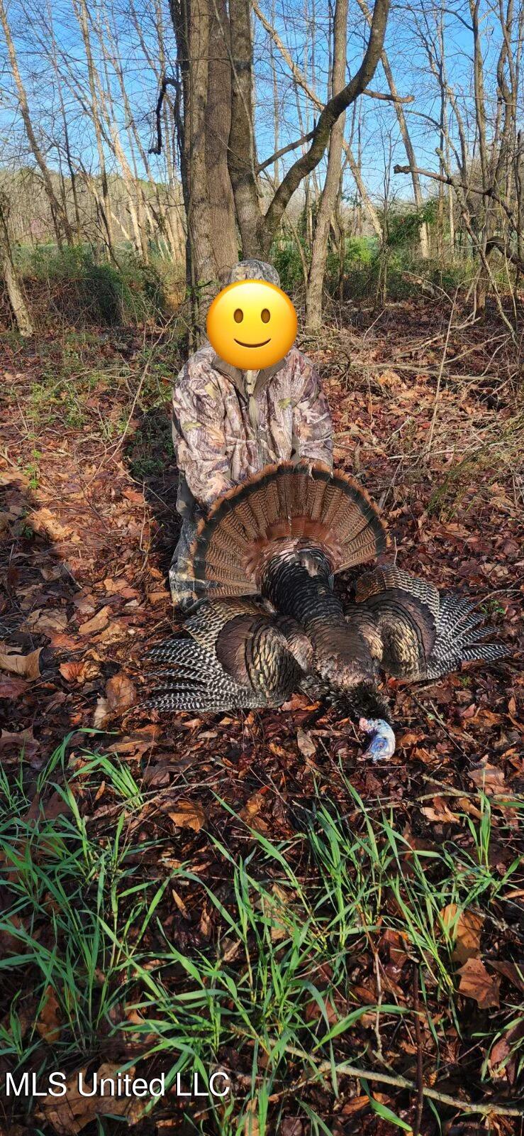 1975 Highway 178 Myrtle, MS 38650 - Photo 196 of 199 IMG_196