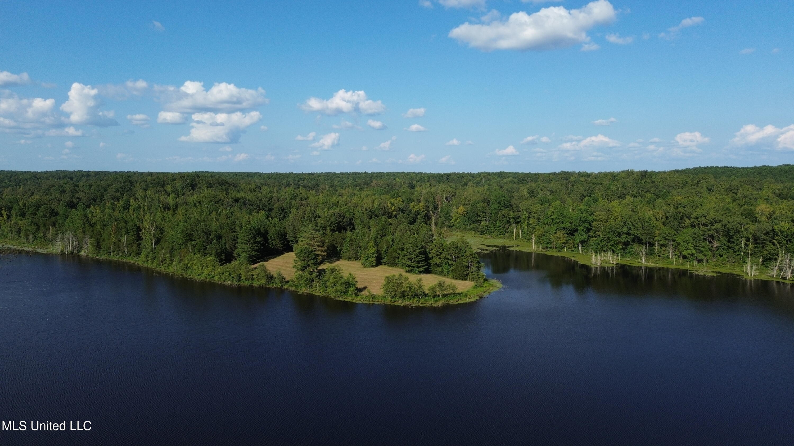 1975 Highway 178 Myrtle, MS 38650 - Photo 2 of 199 IMG_ 2