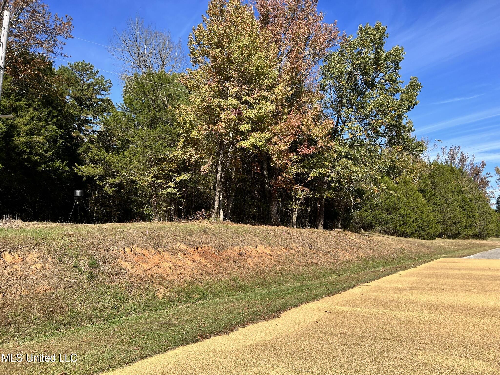 1975 Highway 178 Myrtle, MS 38650 - Photo 23 of 199 IMG_21