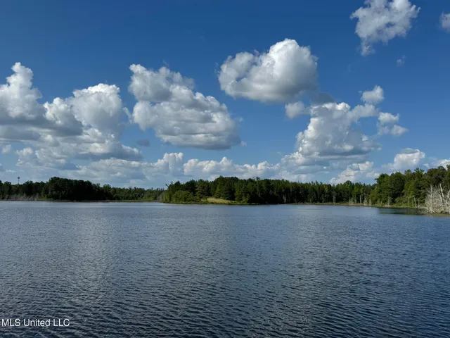 $5,200,000 | 1975 Highway 178, Myrtle, MS 38650