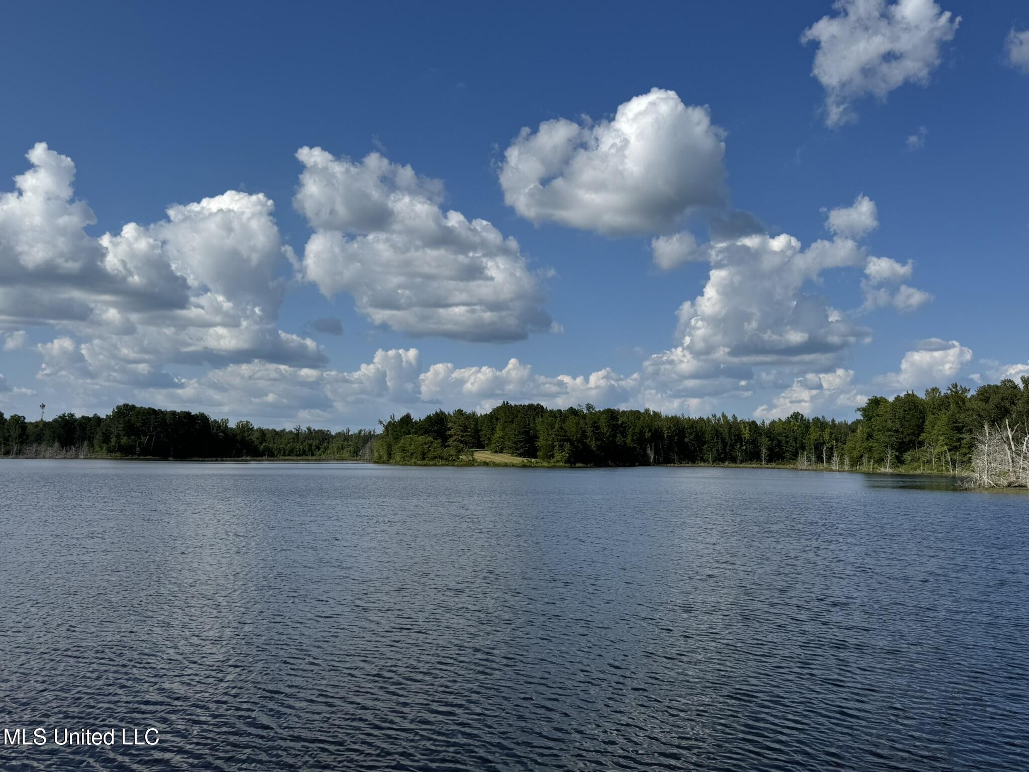 1975 Highway 178 Myrtle, MS 38650 - Photo 25 of 199 IMG_23