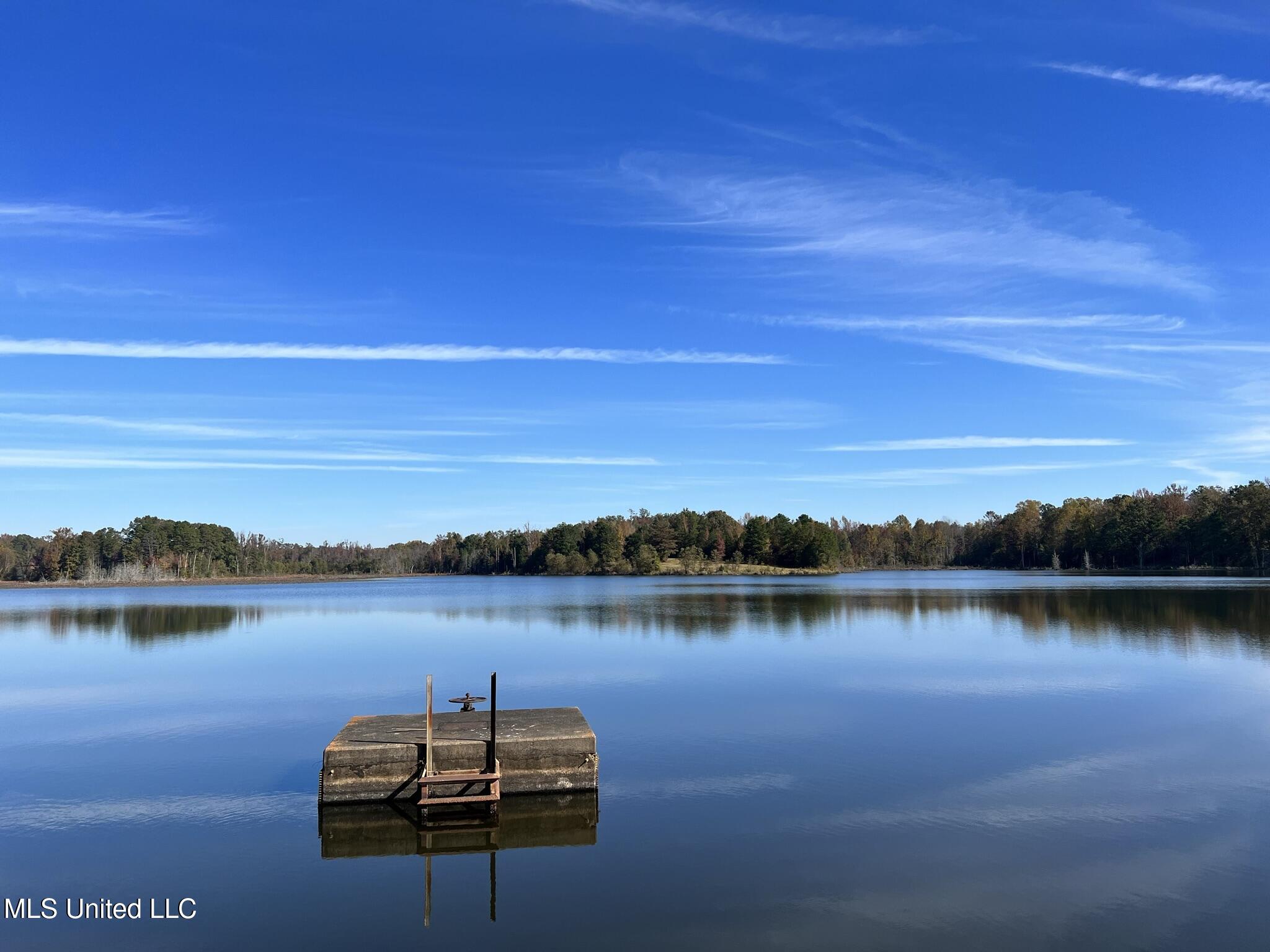 1975 Highway 178 Myrtle, MS 38650 - Photo 26 of 199 IMG_24