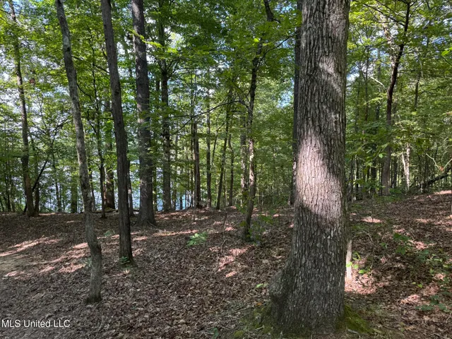 $5,200,000 | 1975 Highway 178, Myrtle, MS 38650