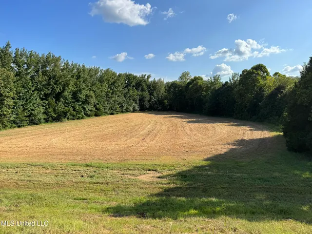 $5,200,000 | 1975 Highway 178, Myrtle, MS 38650