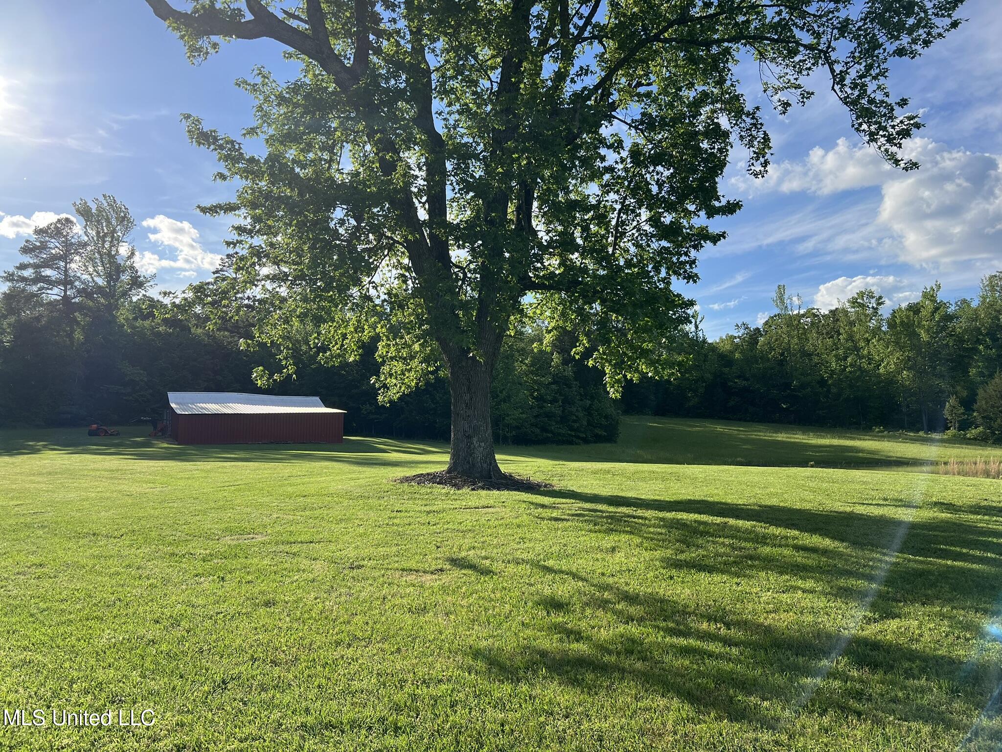 1975 Highway 178 Myrtle, MS 38650 - Photo 36 of 199 IMG_34